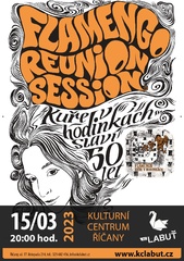 FLAMENGO REUNION SESSION