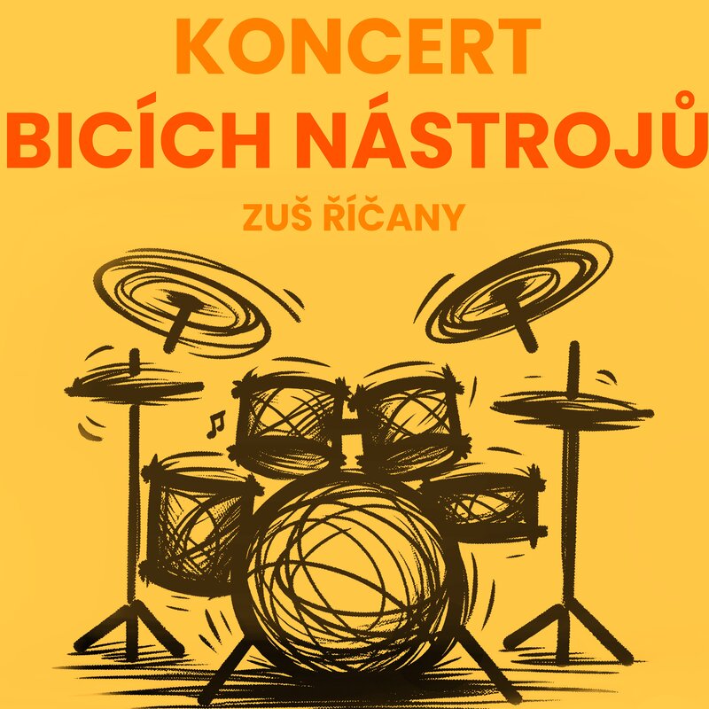 KONCERT BICÍCH NÁSTROJŮ