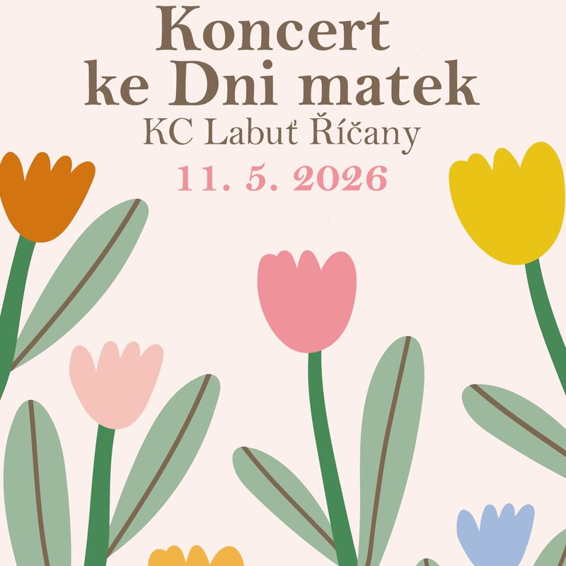 Koncert ke Dni matek