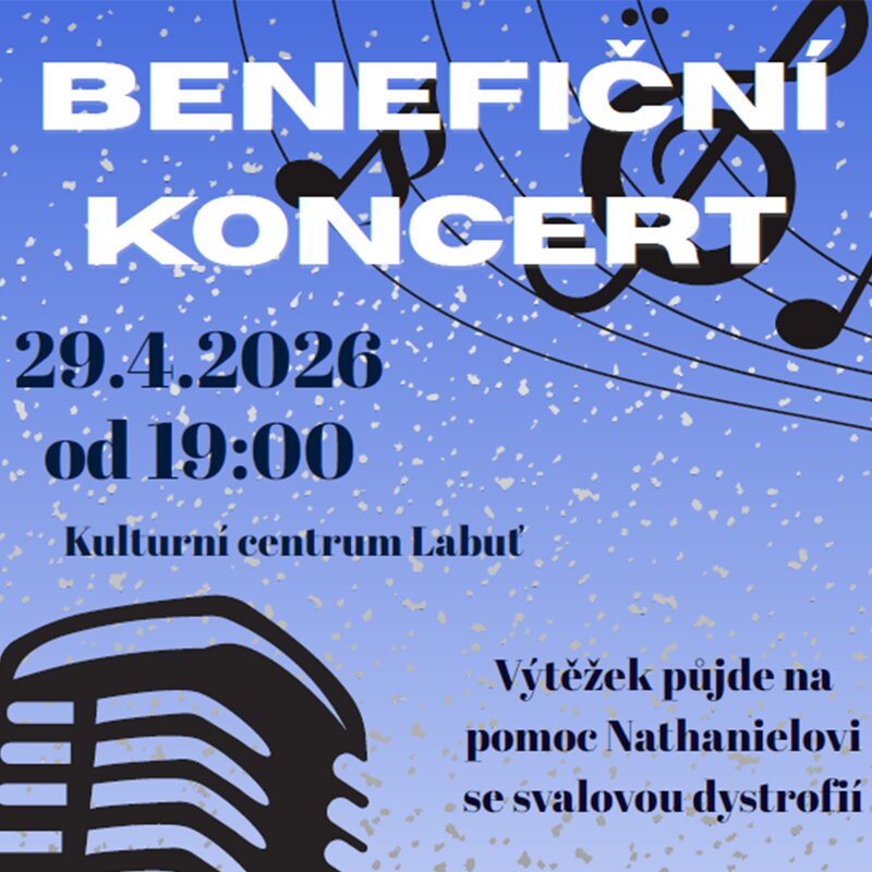 Hudba pomáhá – benefiční koncert pro Nataniela
