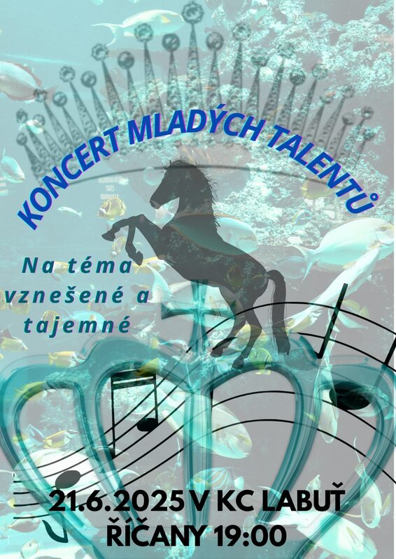 Koncert mladých talentů hudební školy Manuely Dvorské