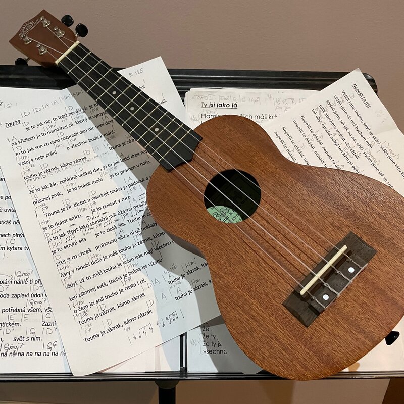 Doprovodné ukulele